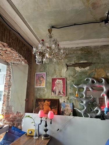 Үлкен бөкселердің онлайн порно видеолары