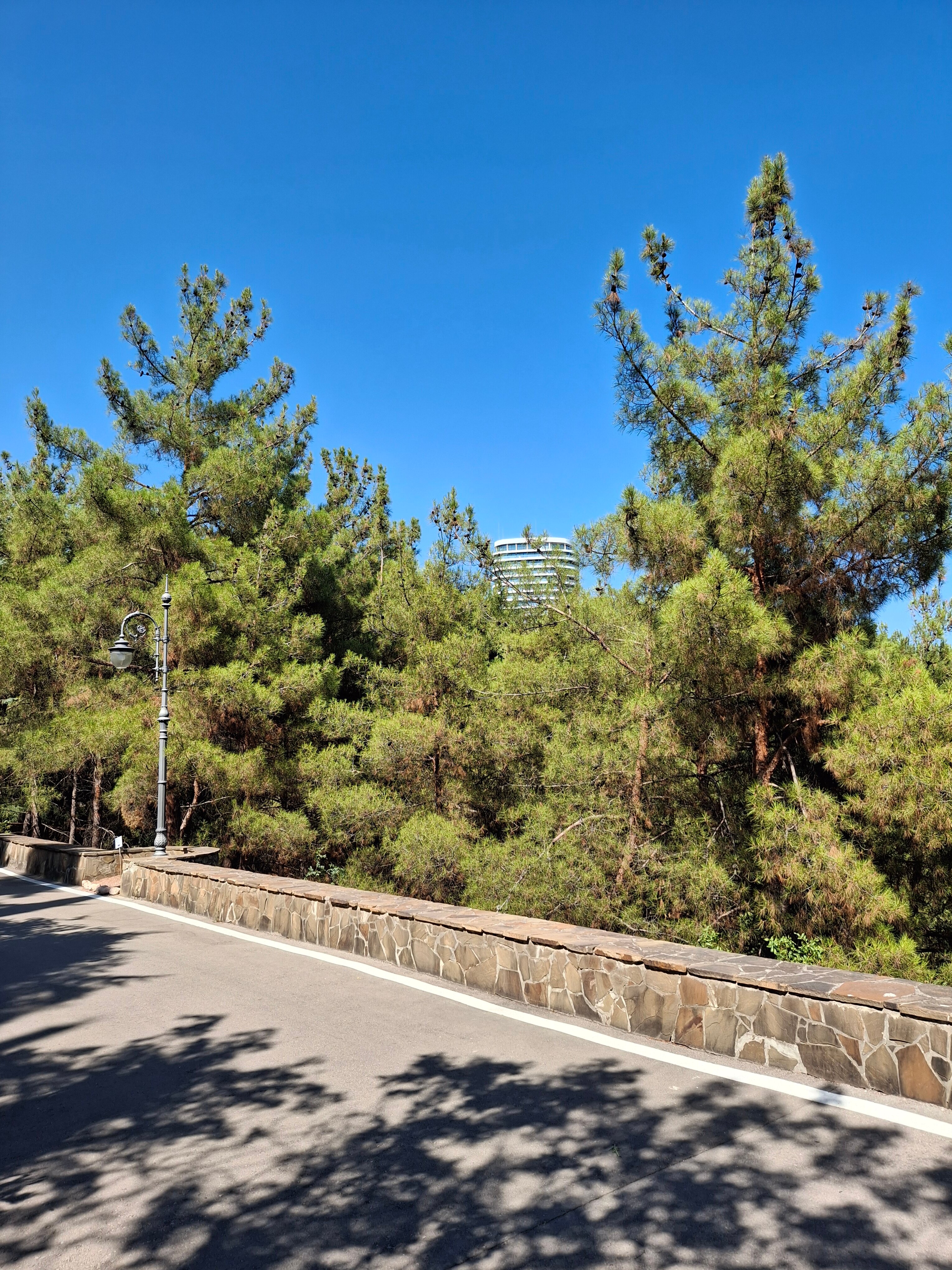 Фото Пилигрим