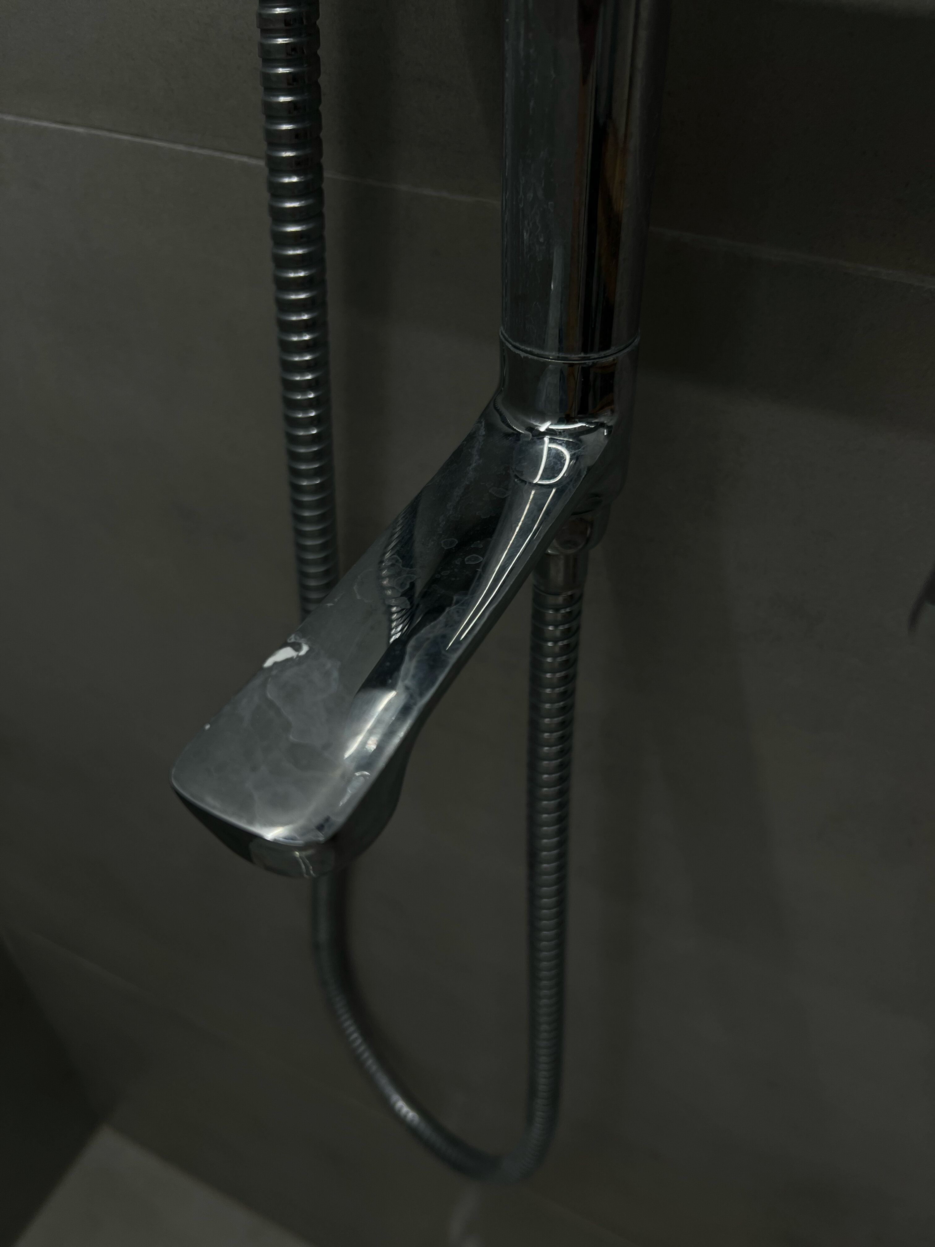 Фото Шелест