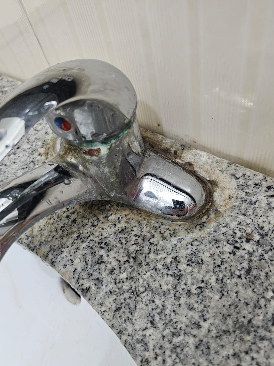 Фото Алтын Дала