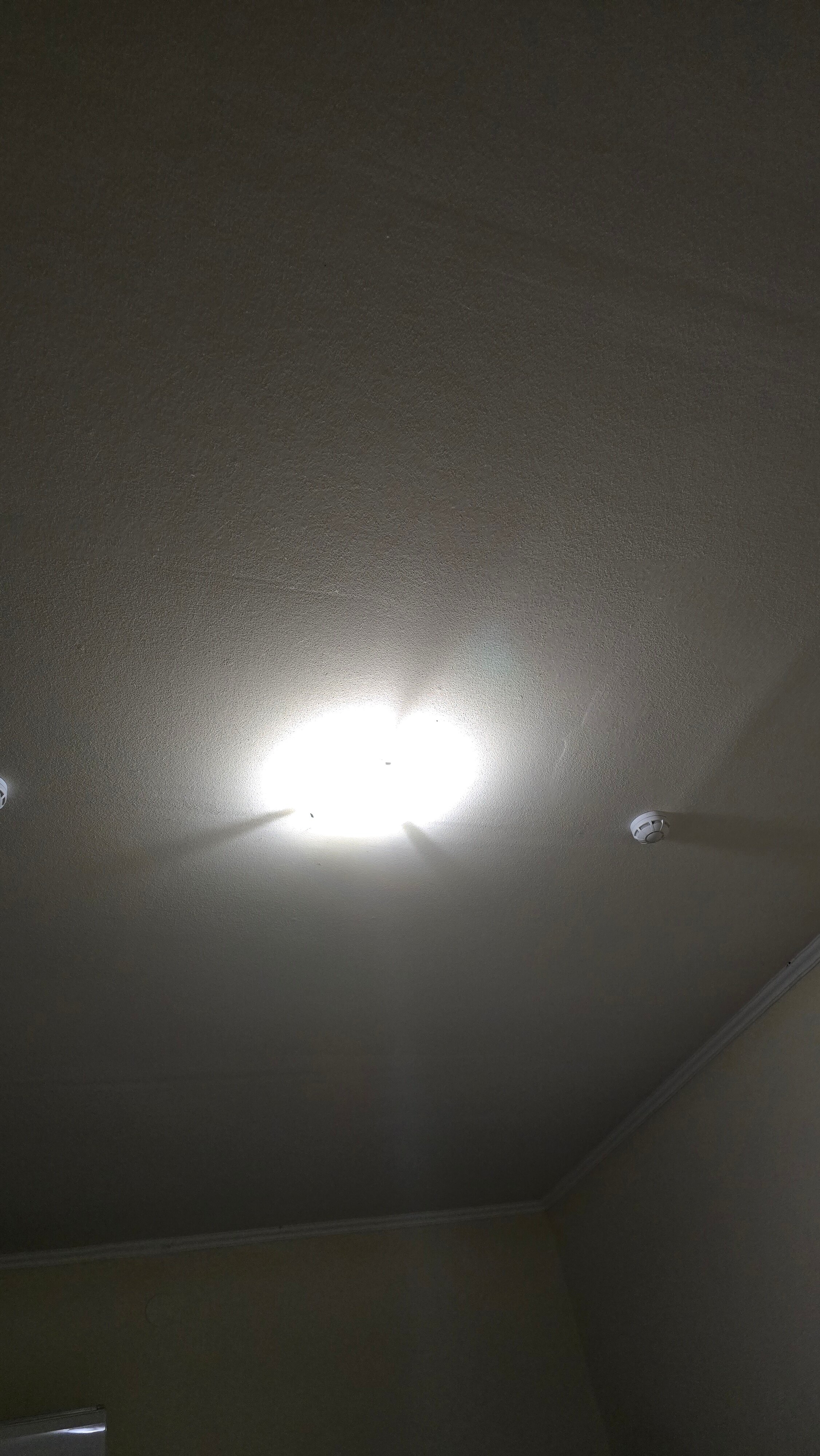 Фото Зурбаган