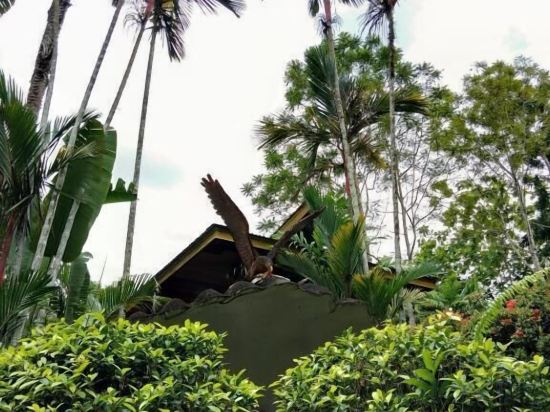 Фото Sepilok Jungle Resort