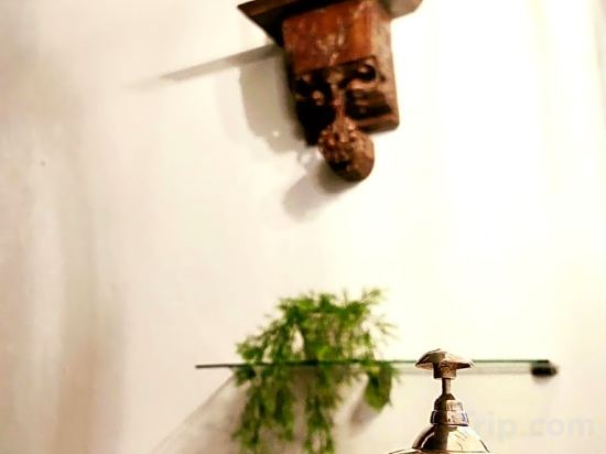 Фото Hotel Rosa D´Oro