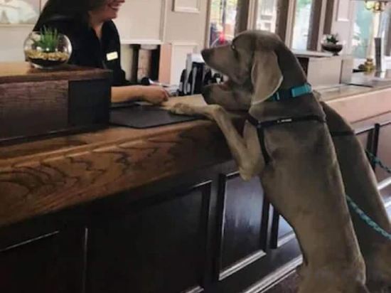 Фото Millennium Maxwell House Nashville