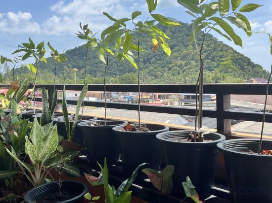 Фото 225811273666