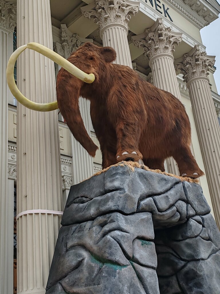 Muzey Móra Ferenc Múzeum, , foto