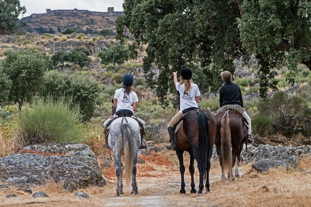 Фото Sever Rio Hotel