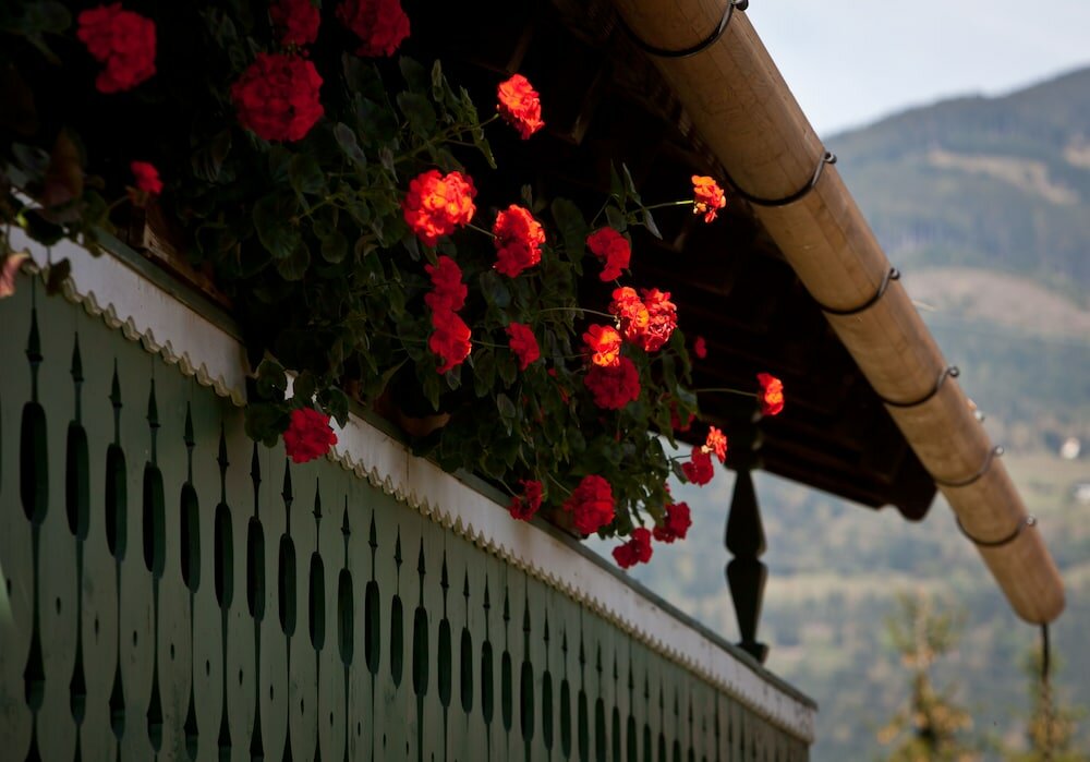 Фото Hotel Gasthof Mitteregger