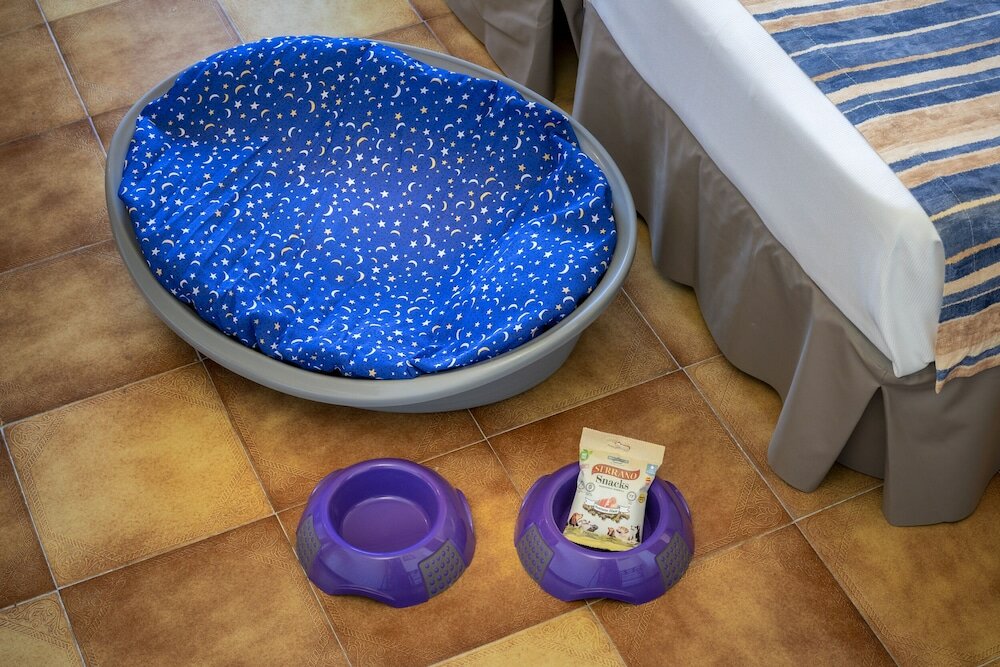 Фото Hotel GHT Neptuno Tossa & VENUS SPA