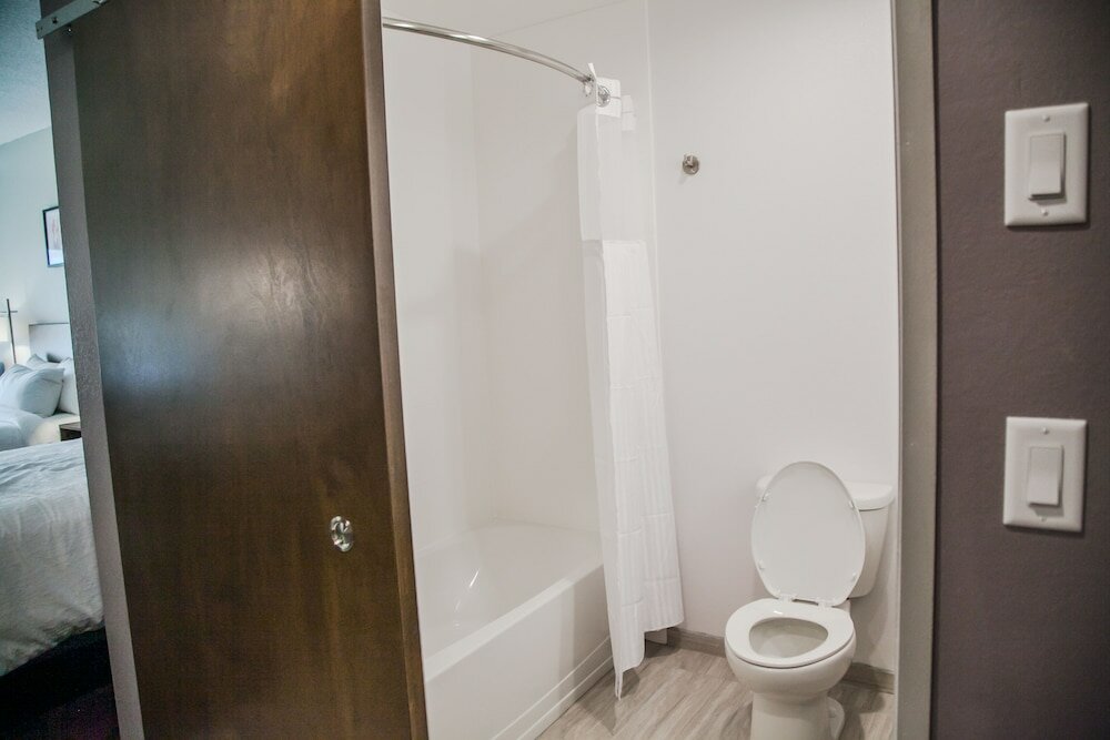 Фото Hilton Garden Inn Tampa Suncoast Parkway