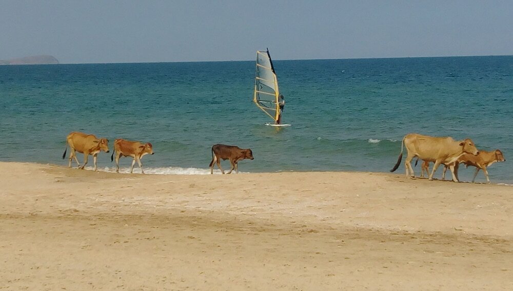 Фото Full Moon Village