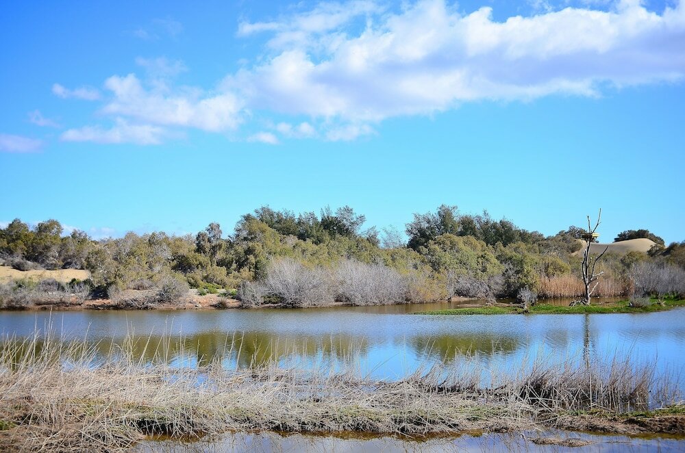 Фото Apartamentos Oasis Maspalomas