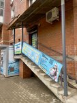 New Newtons (Kosmonavtov Boulevard, 5), children's developmental center