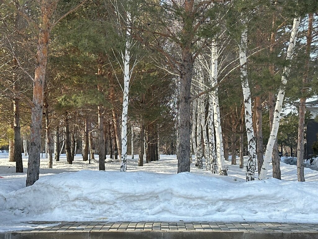 Гольф-клуб Golf Club Astana, Астана, фото