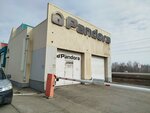 BekhetAvto (Raisa Belyaeva Avenue, 1Д), car alarm