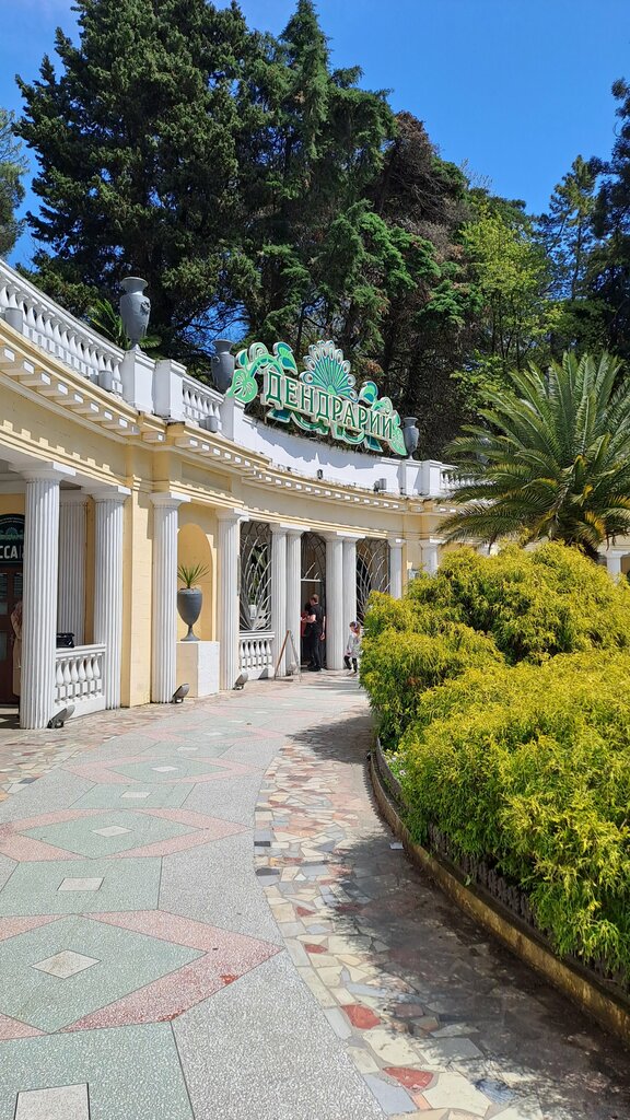 Nature reserve Sochi National Park Arboretum, Sochi, photo