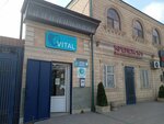 Vital (Berzina Street, 54), pharmacy