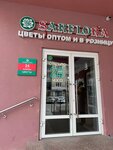 SarFlora (Proviantskaya ulitsa, 30/9), flower shop