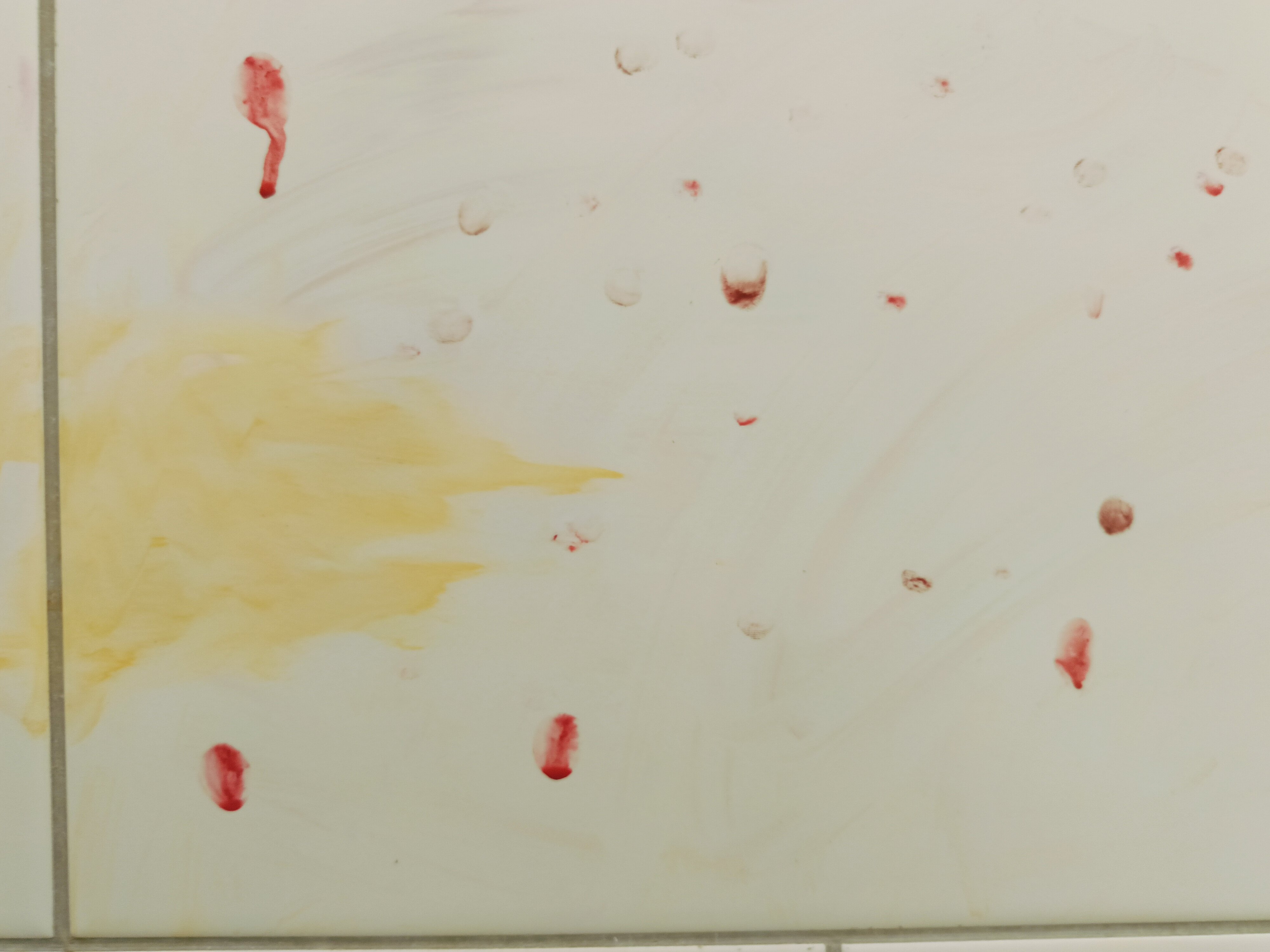 Фото Вежливый лось