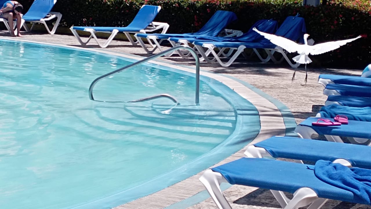 Фото Occidental Arenas Blancas by Barcelo