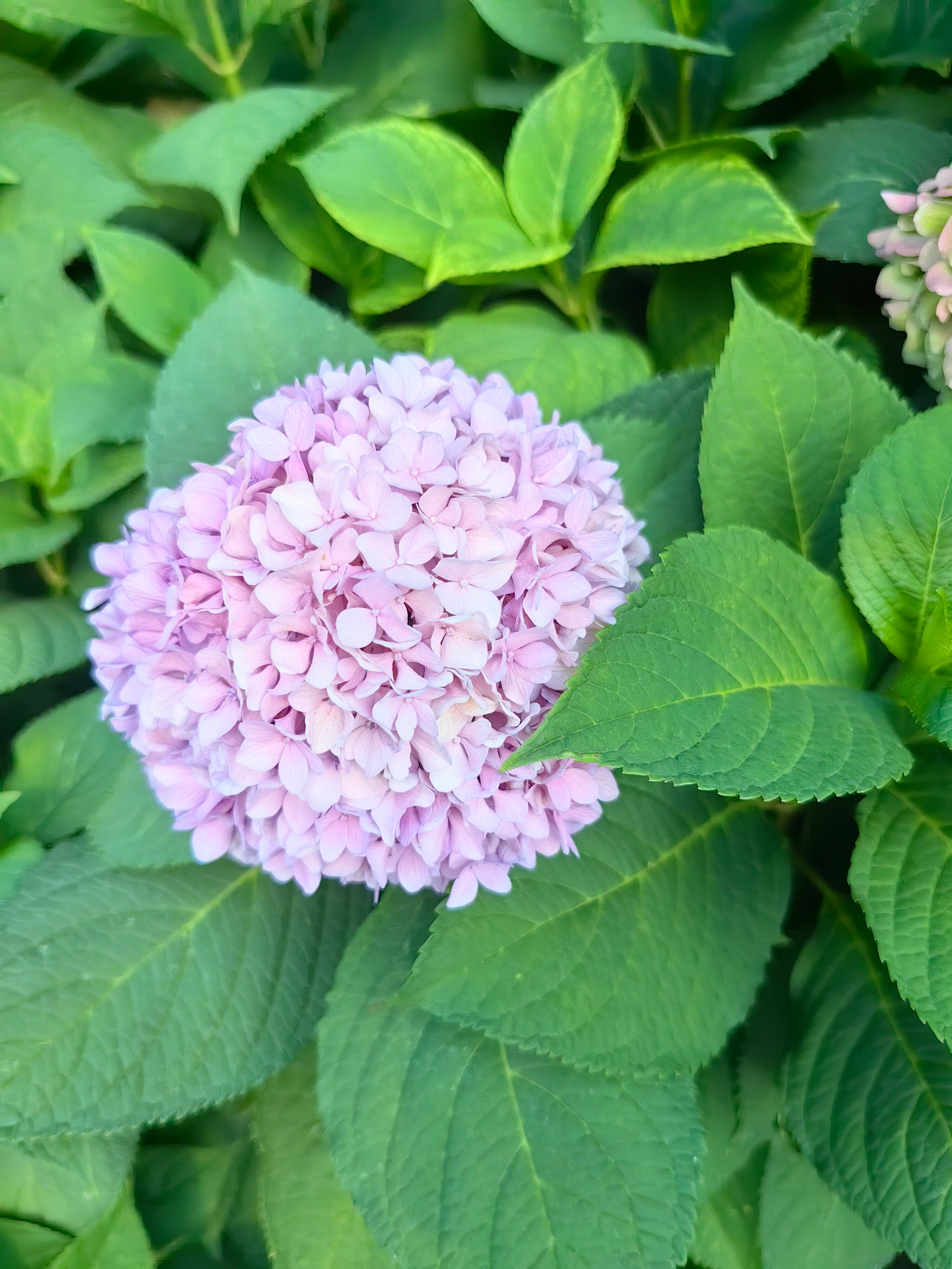 Фото Горный воздух