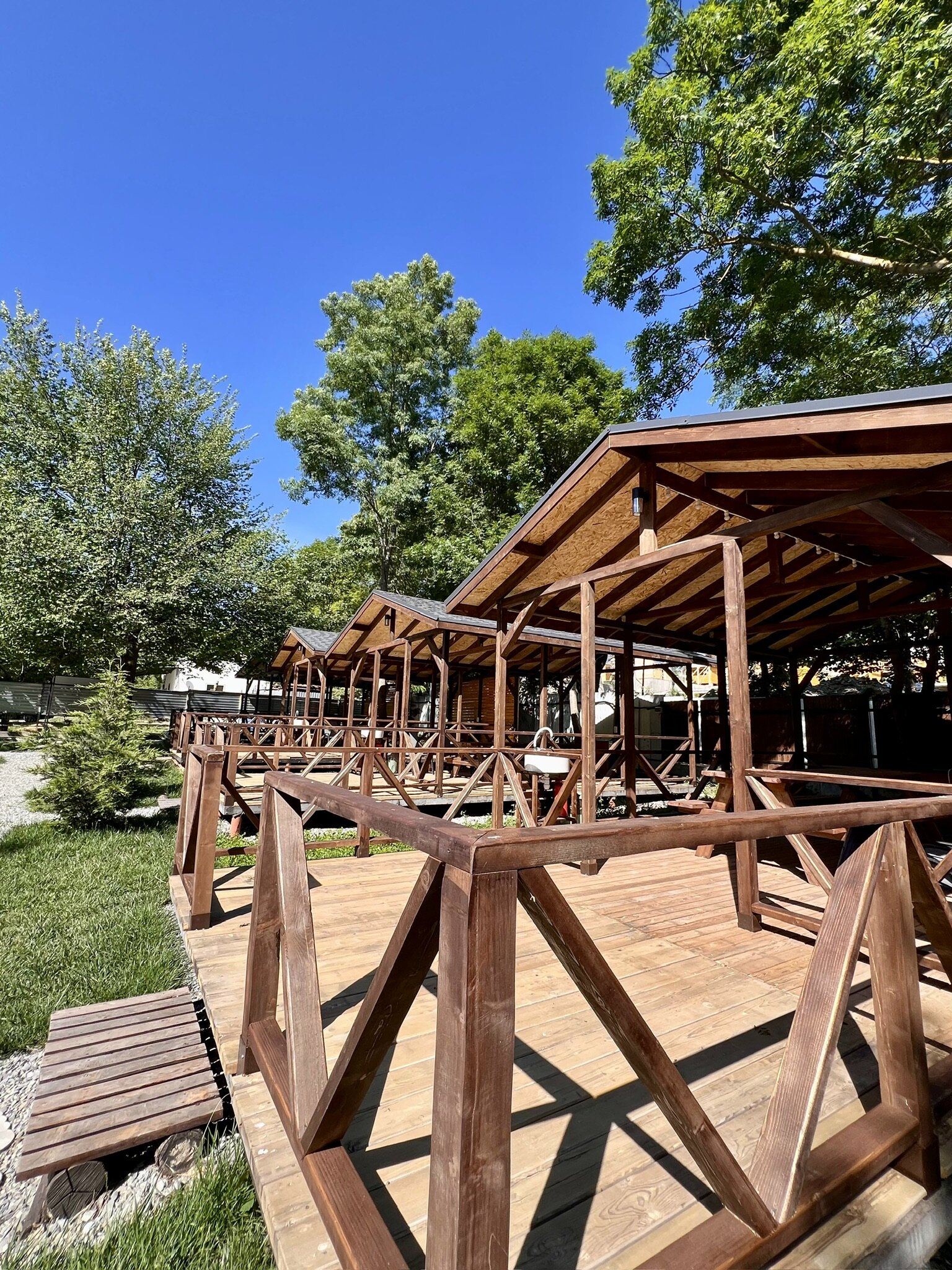 Фото Ромашка