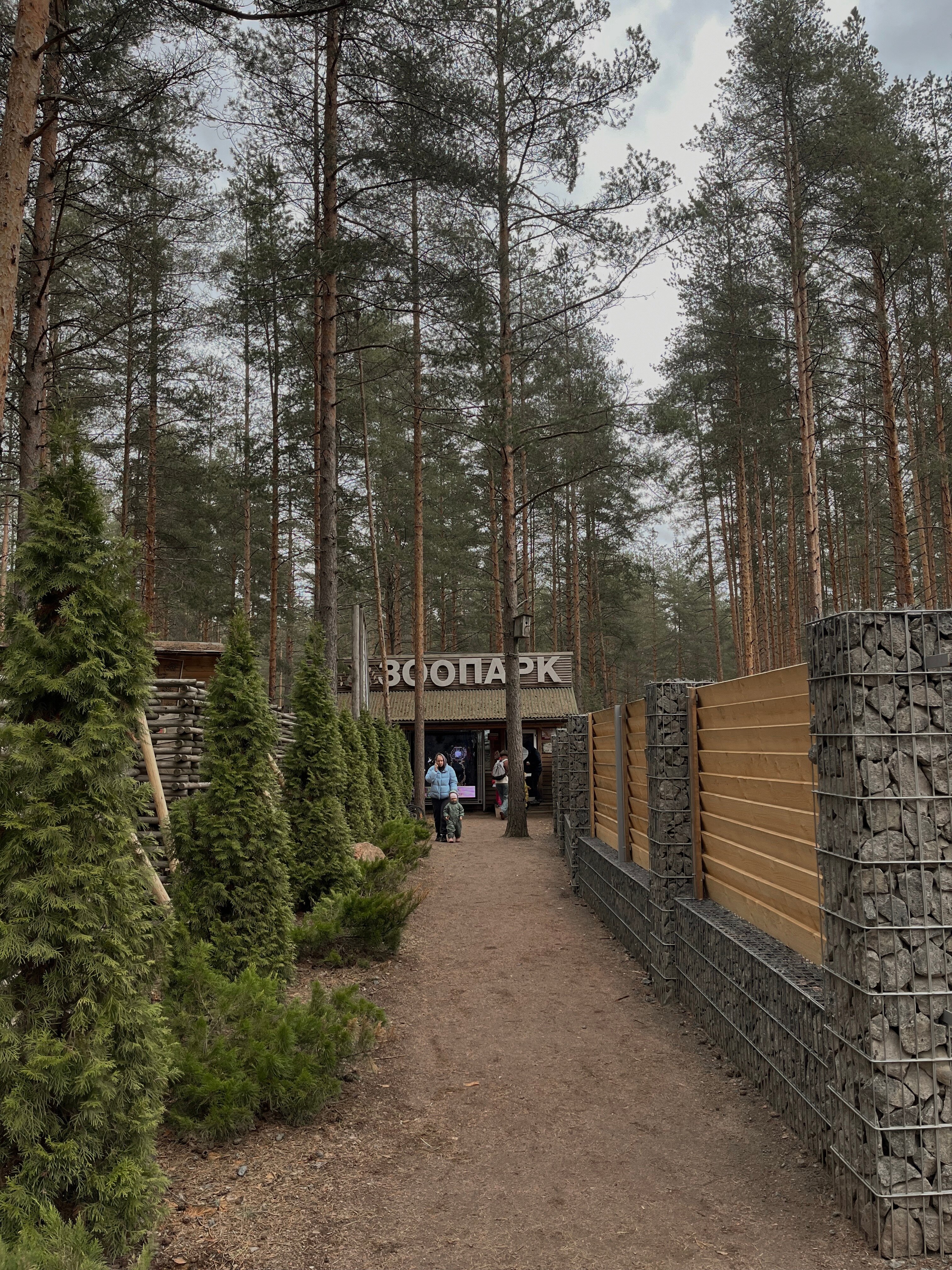 Фото Ласточкино гнездо