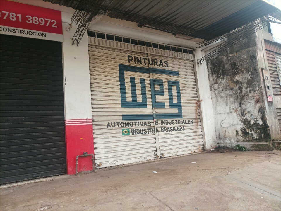 Household goods and chemicals shop Pinturas Weg, Santa Cruz de la Sierra, photo