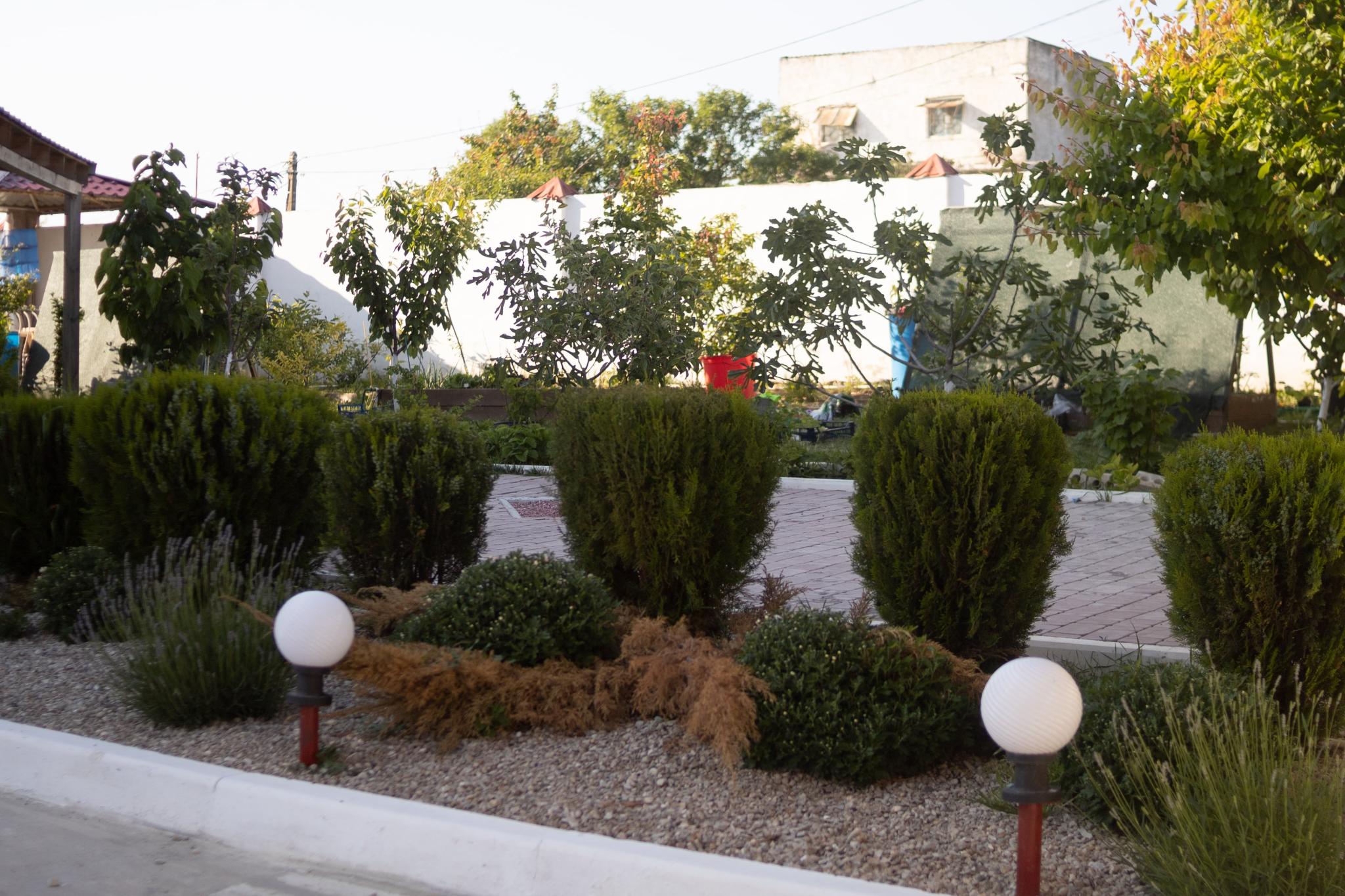 Фото Villa White