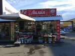Лилия (Naberezhniy Avenue, 5с8) ، محل زهور