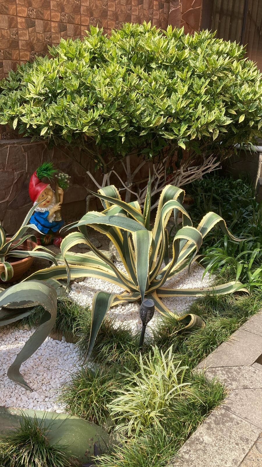 Фото Бамбуковый рай