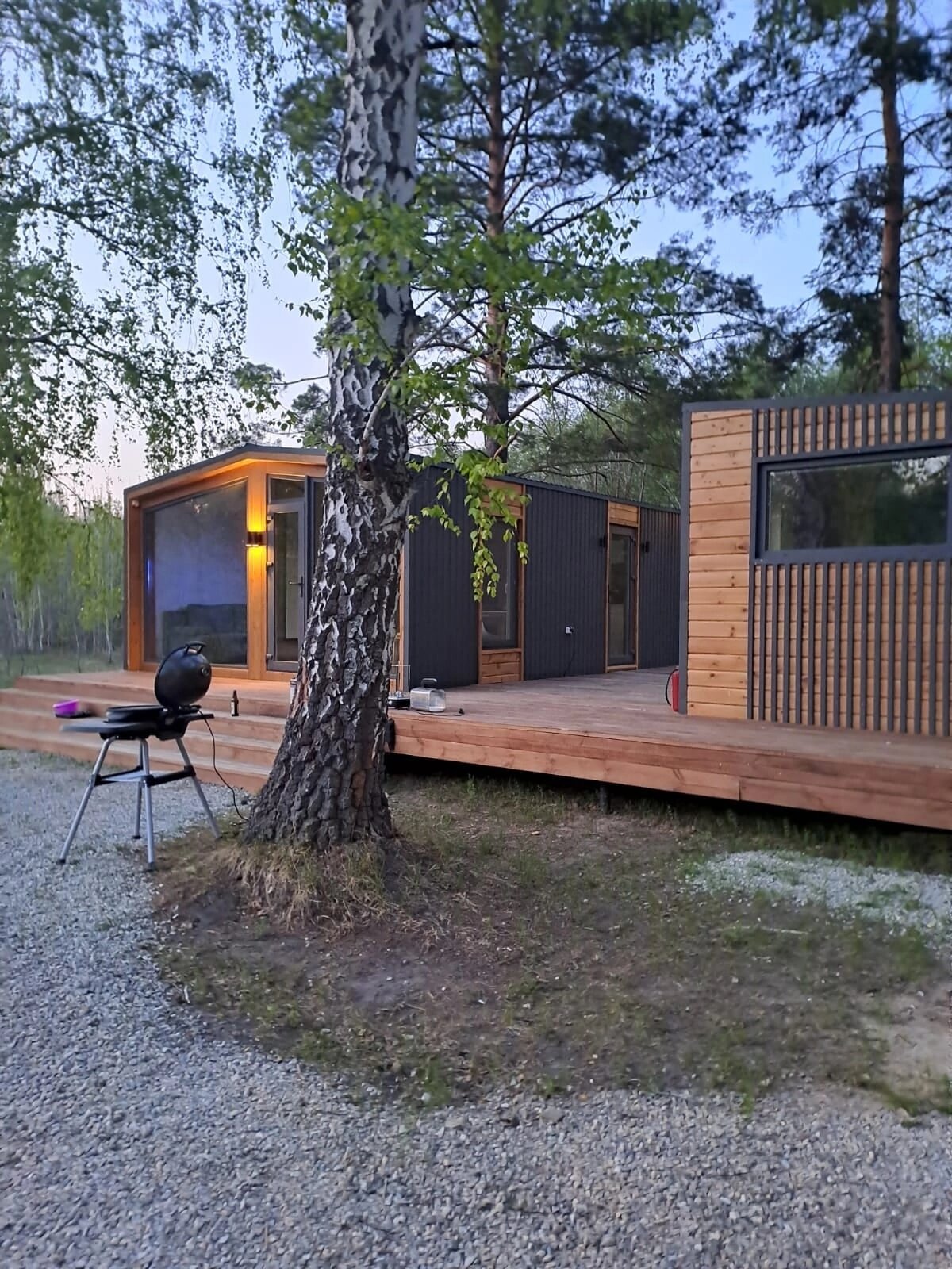 Фото Ветер в соснах