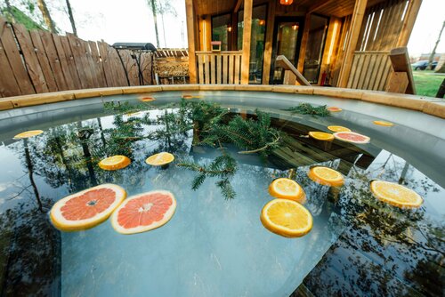 Иное жильё Bazabanya в Подмосковье