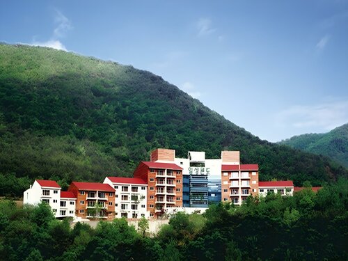 Гостиница Muju Ilsung Condo