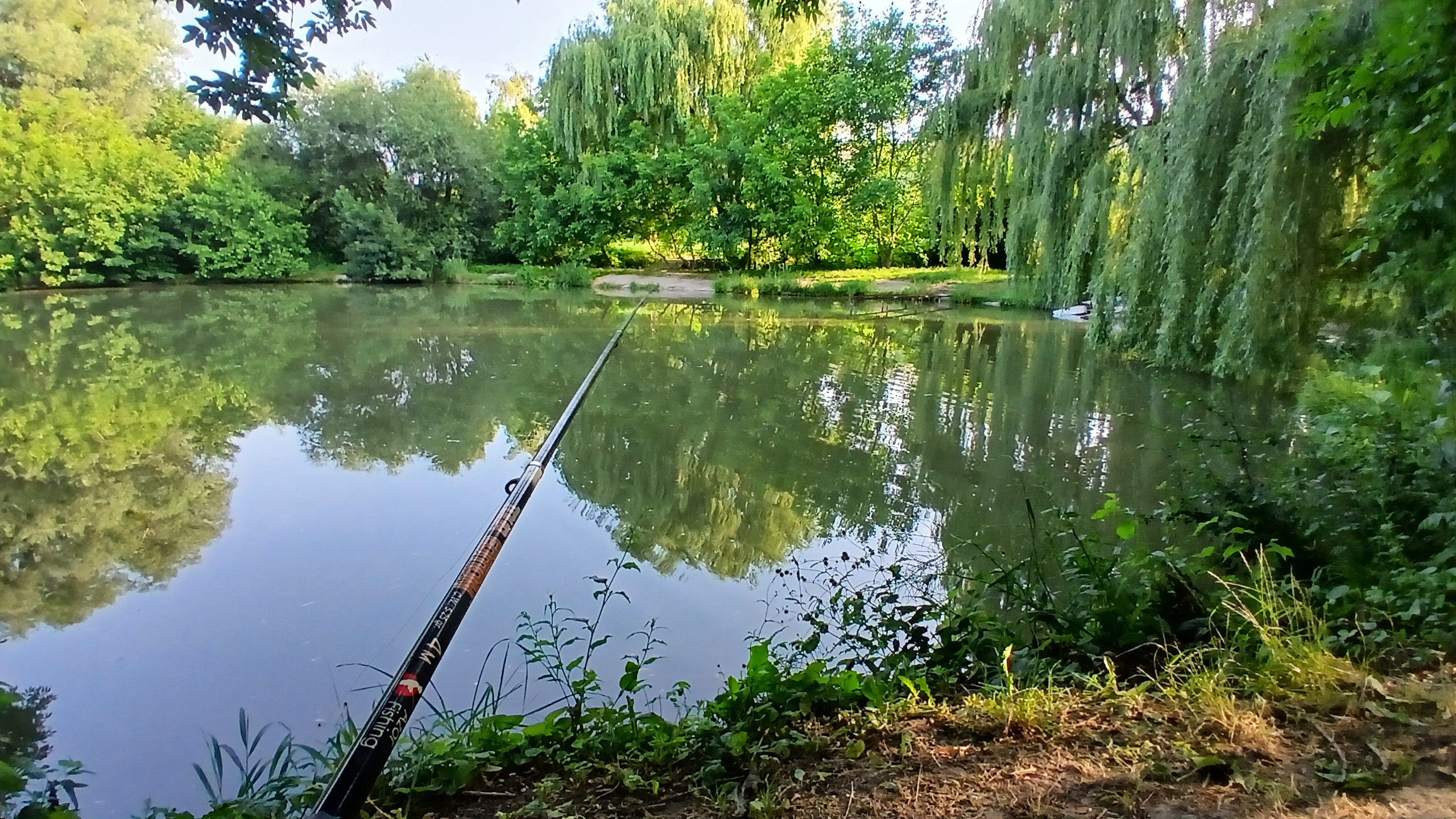 Фото Тихий пруд