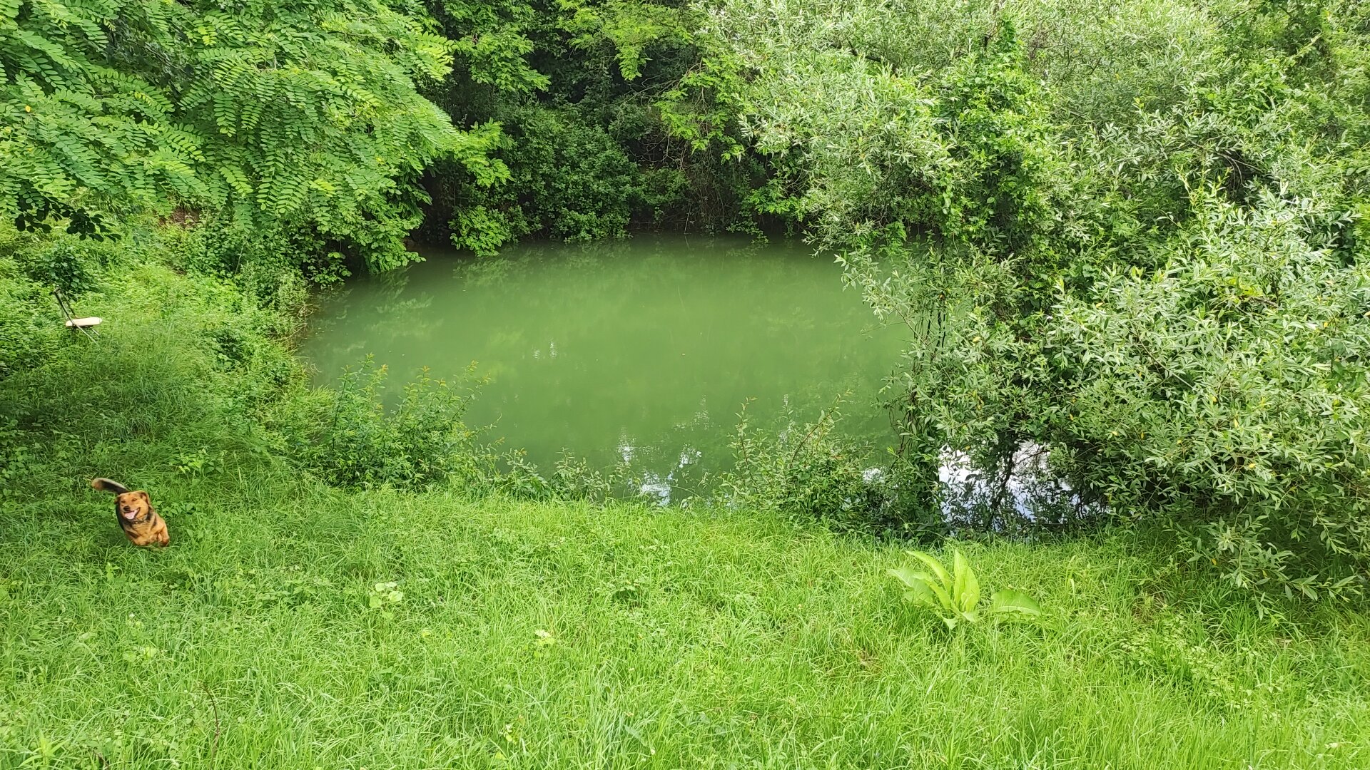 Фото Отрада