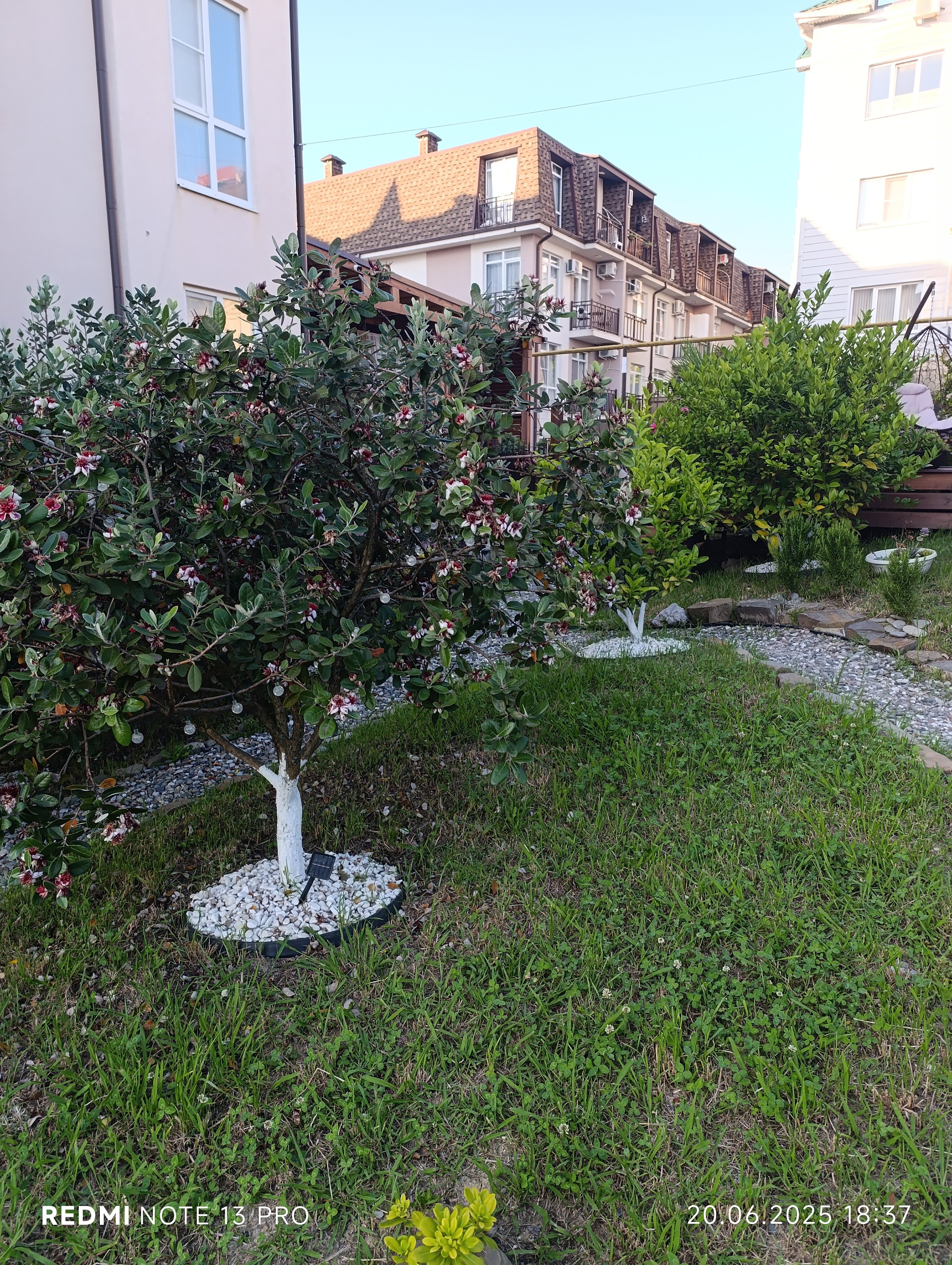 Фото Сербия