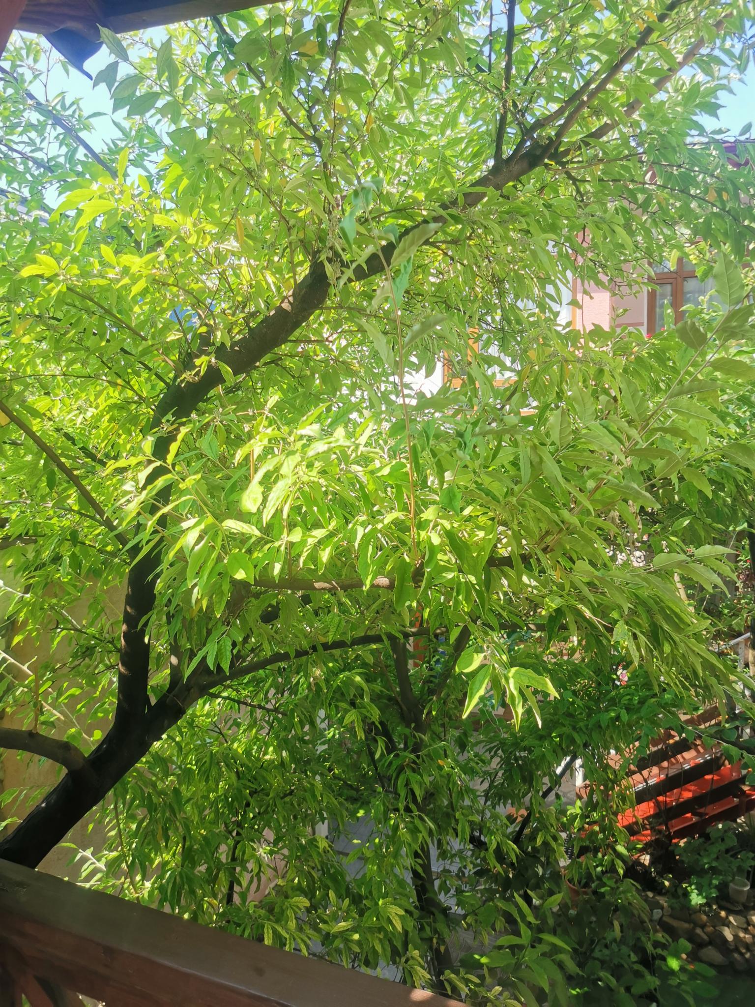 Фото Елисеевский