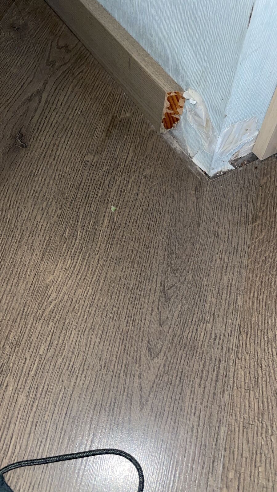 Фото Апартаменты Камея