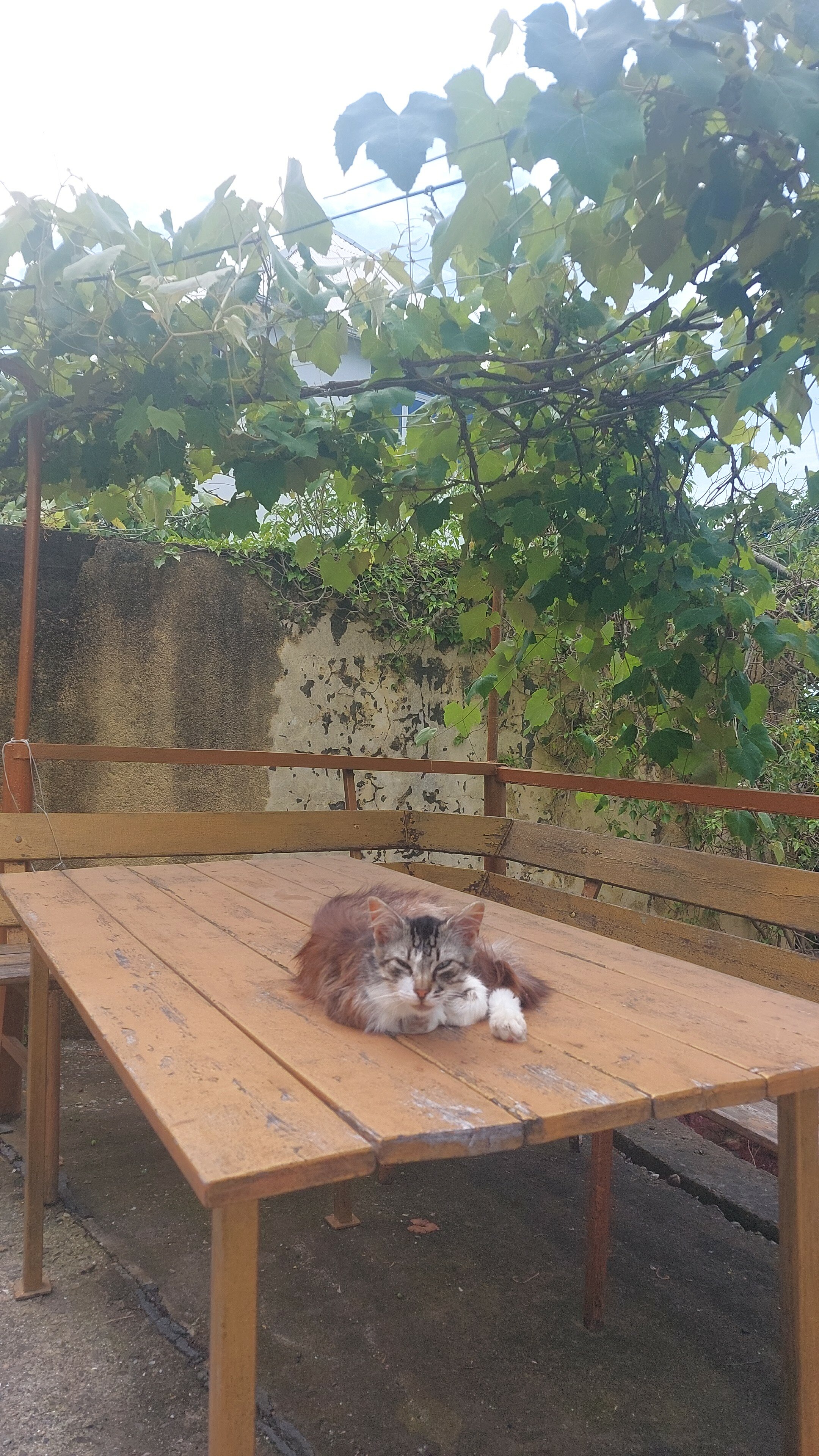 Фото Горизонт