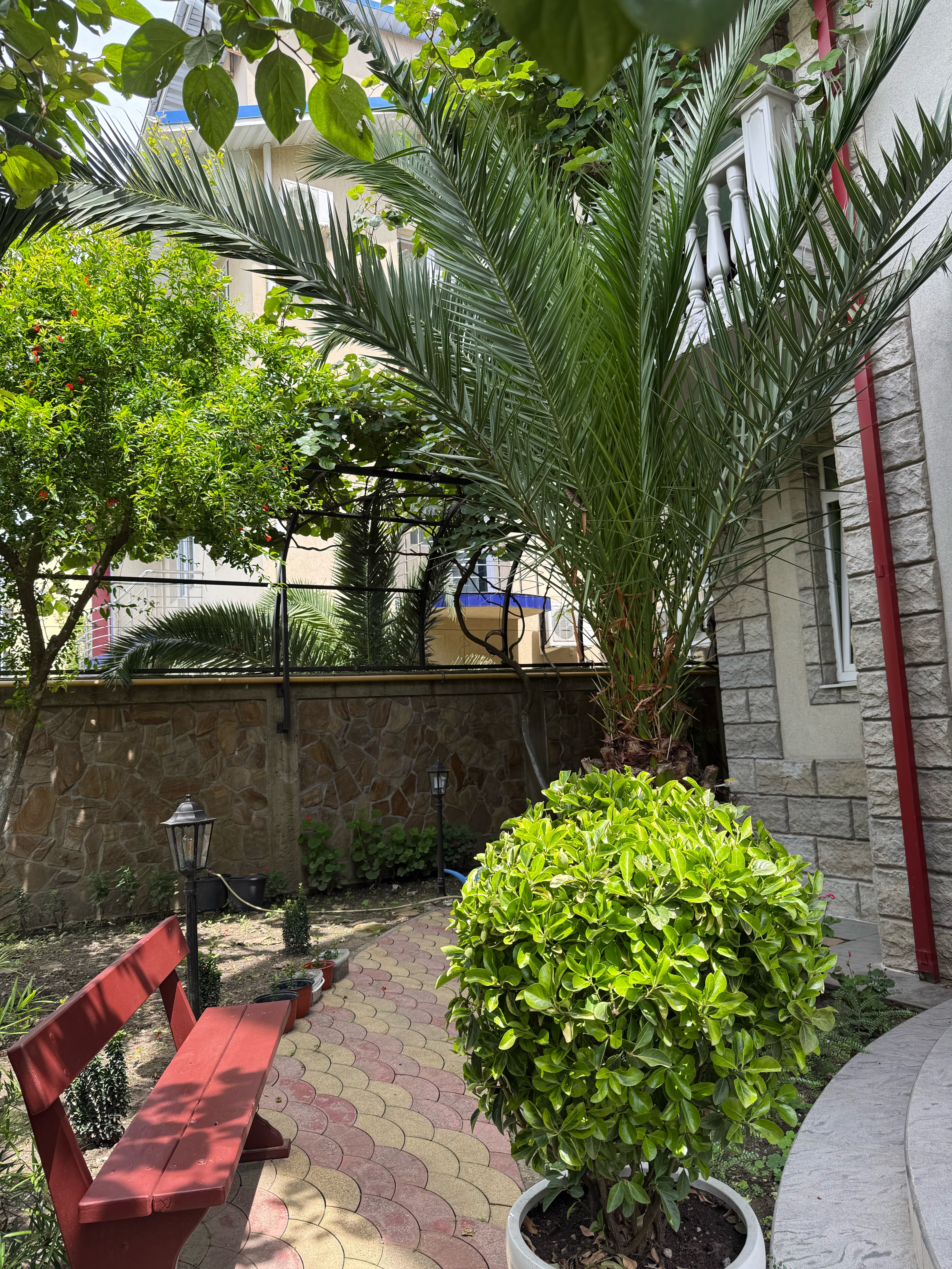 Фото Любава