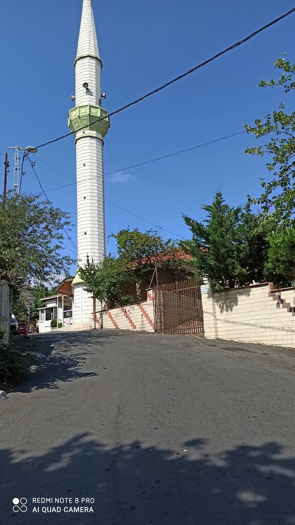 Mosque Resitpasa Uhud Mosque, Istanbul, photo