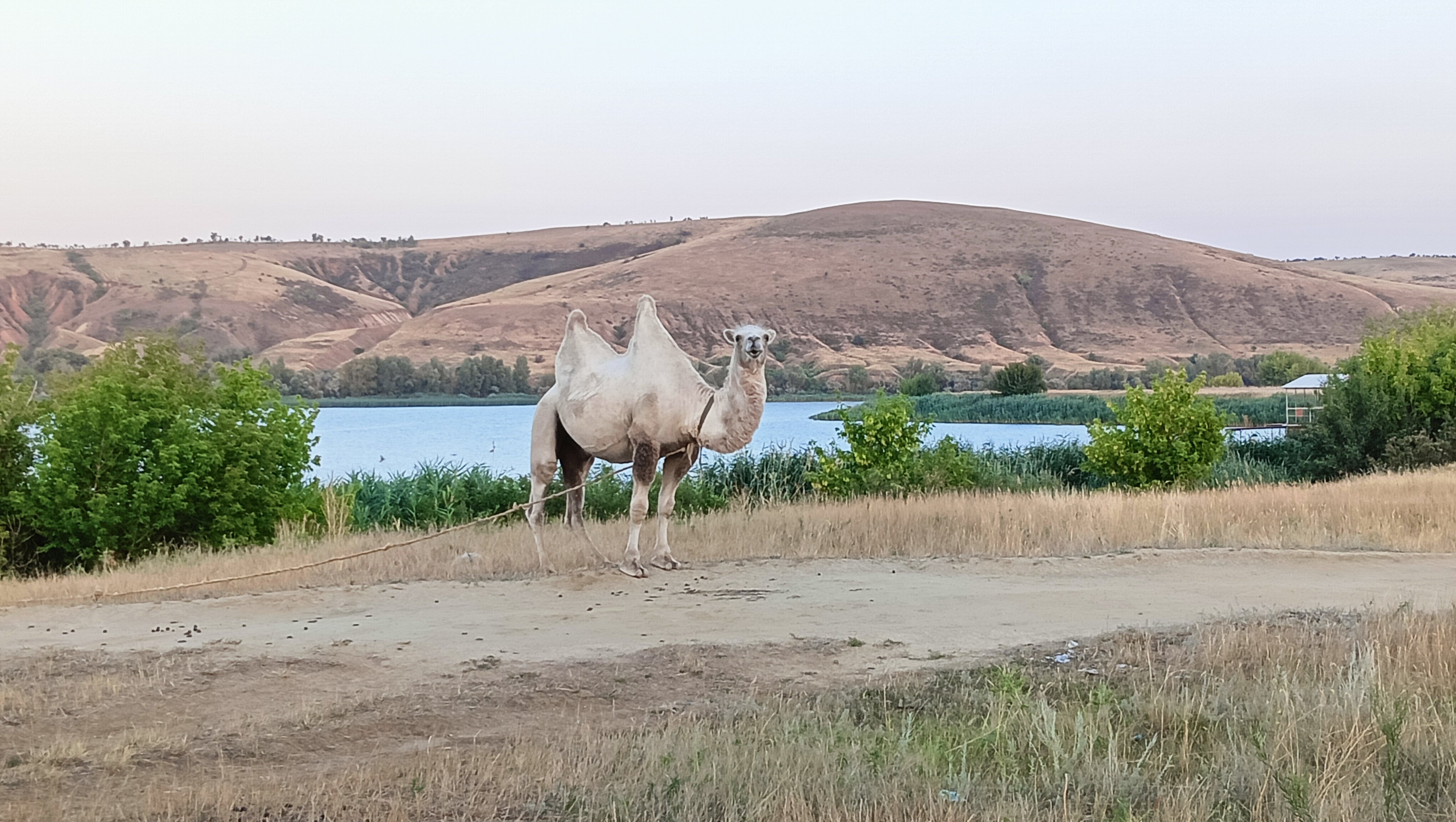 Фото Причалъ