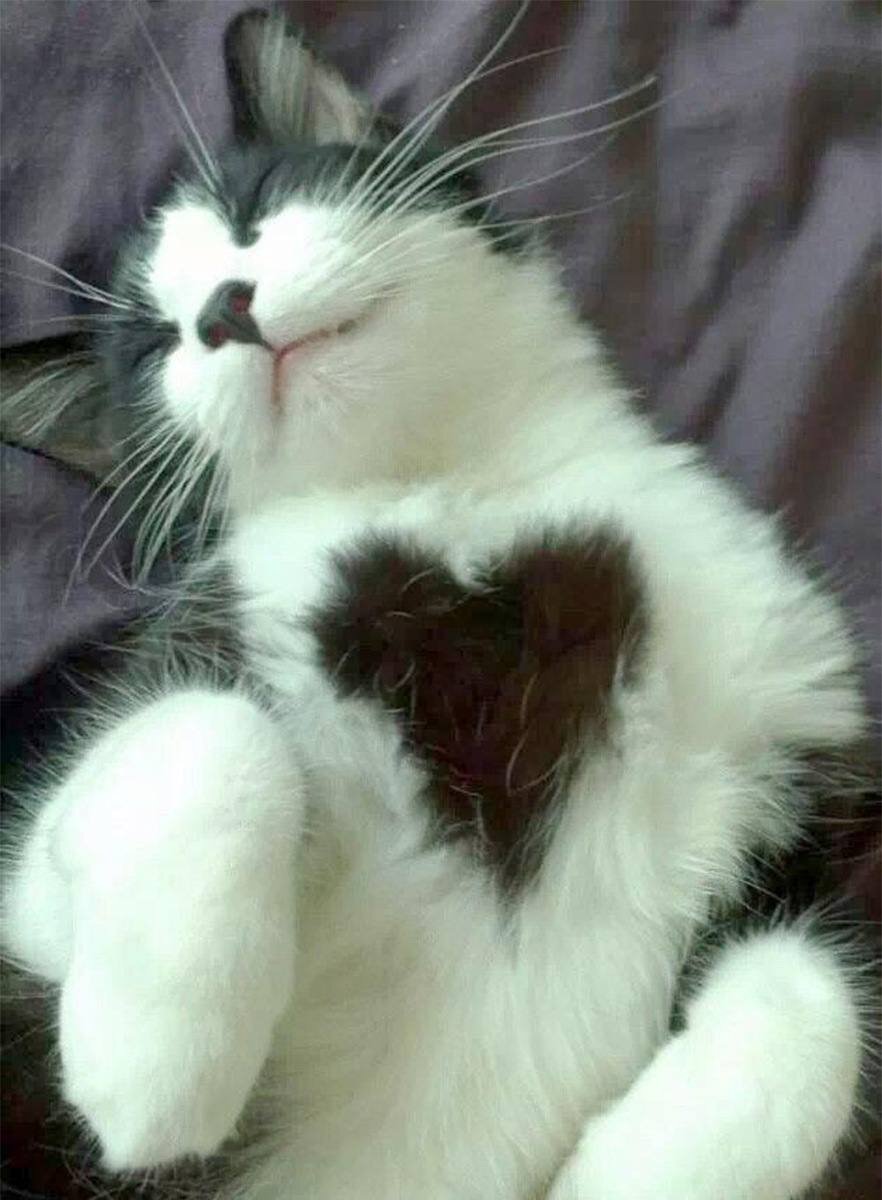 Фото Сувенир