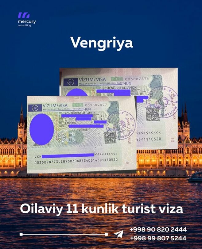 Visa support Mecrcury Consulting, Tashkent, photo