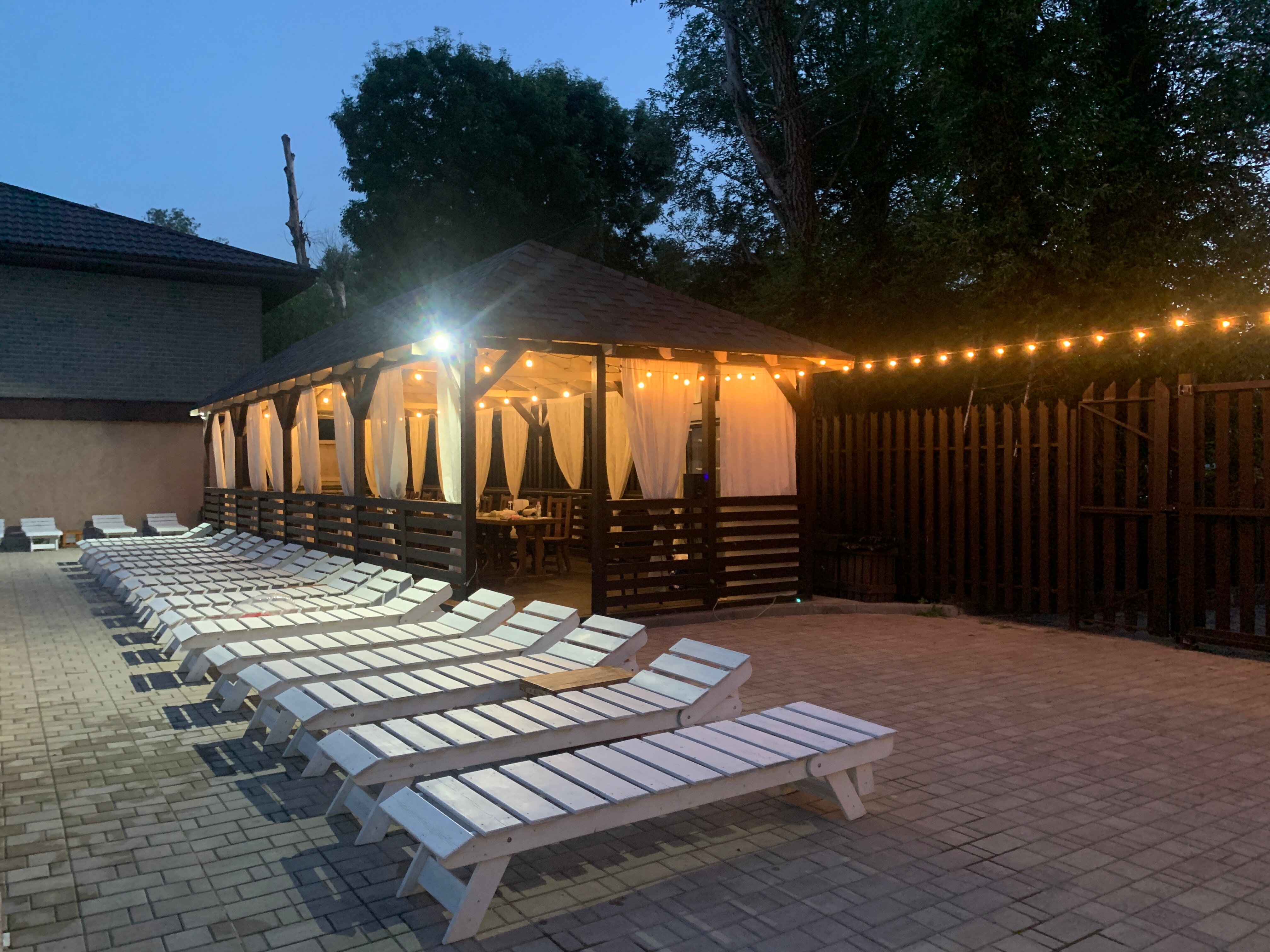 Фото Кипарис