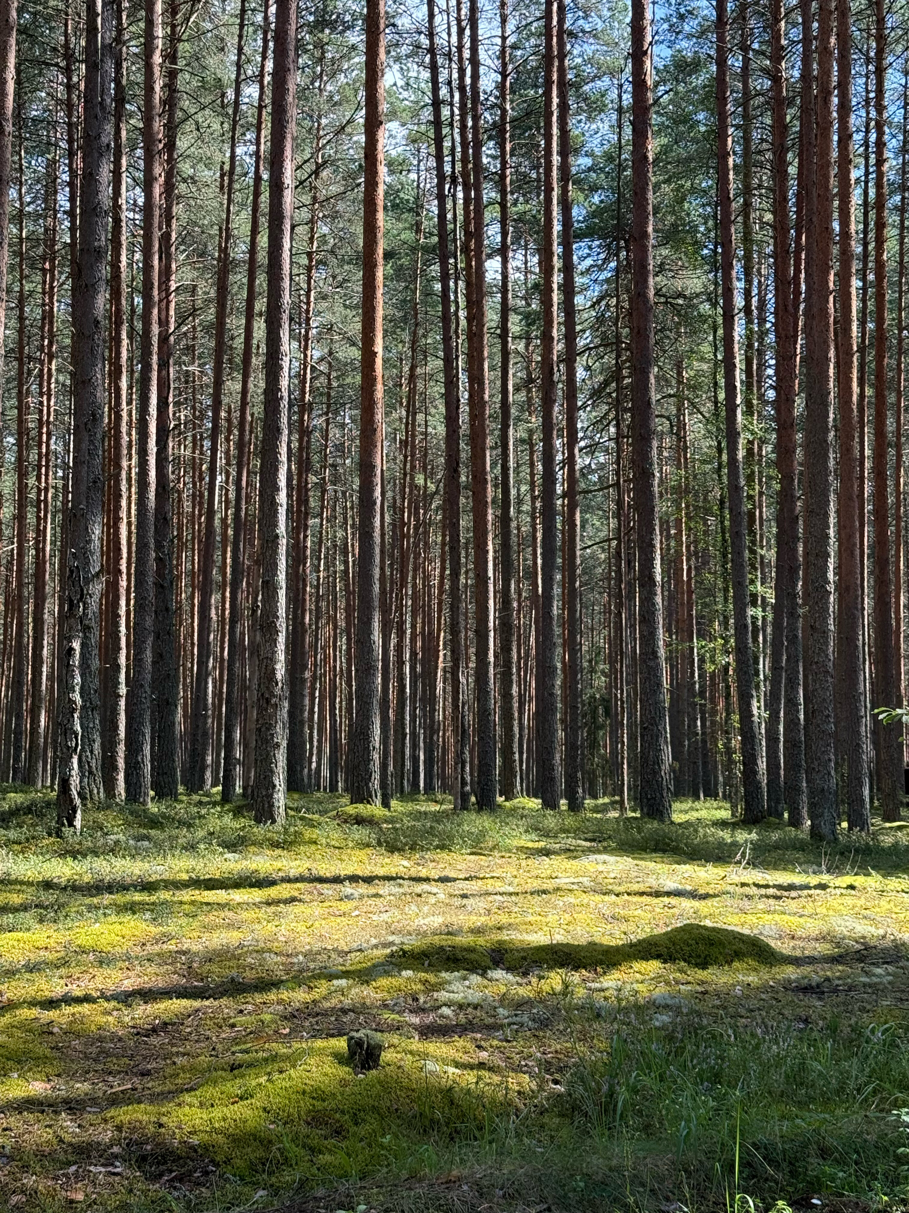 Фото NaVolgo на Селигере