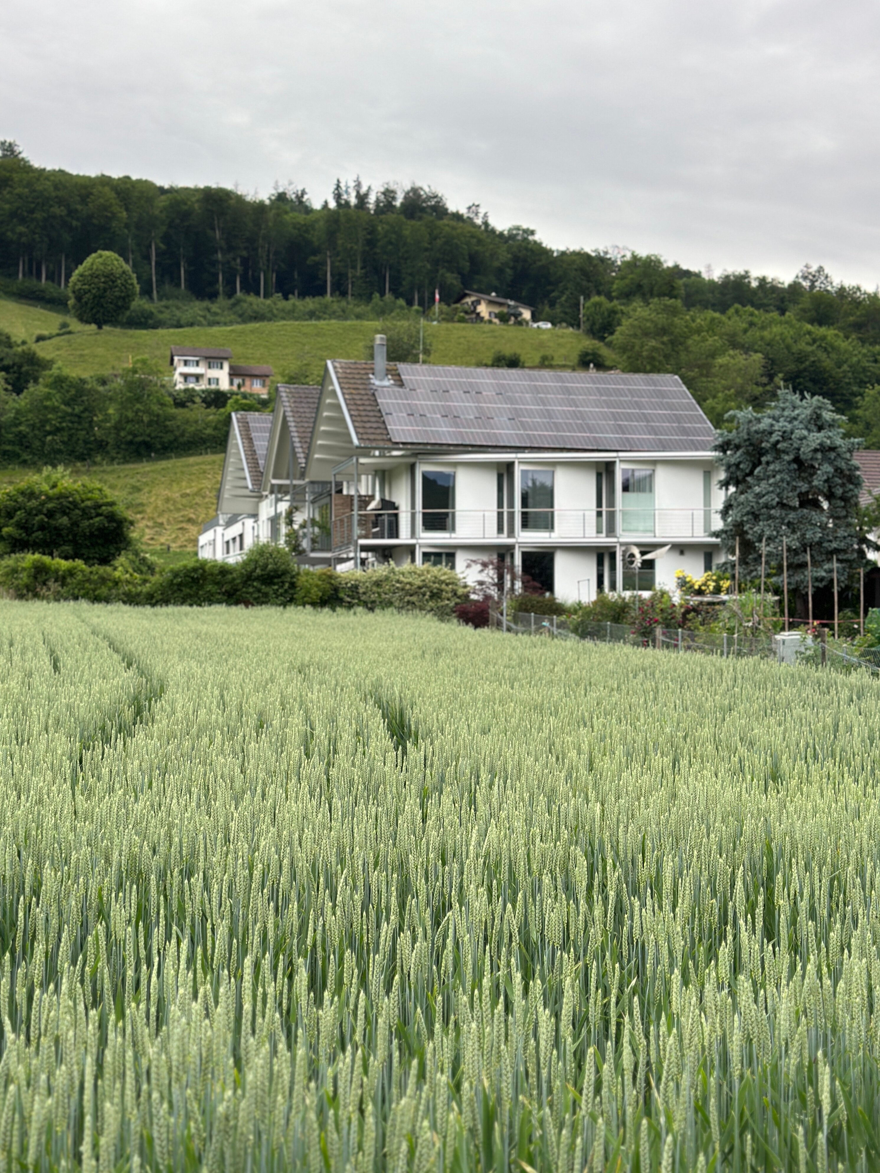 Фото Hine Adon Apart Hotel Bern-Airport
