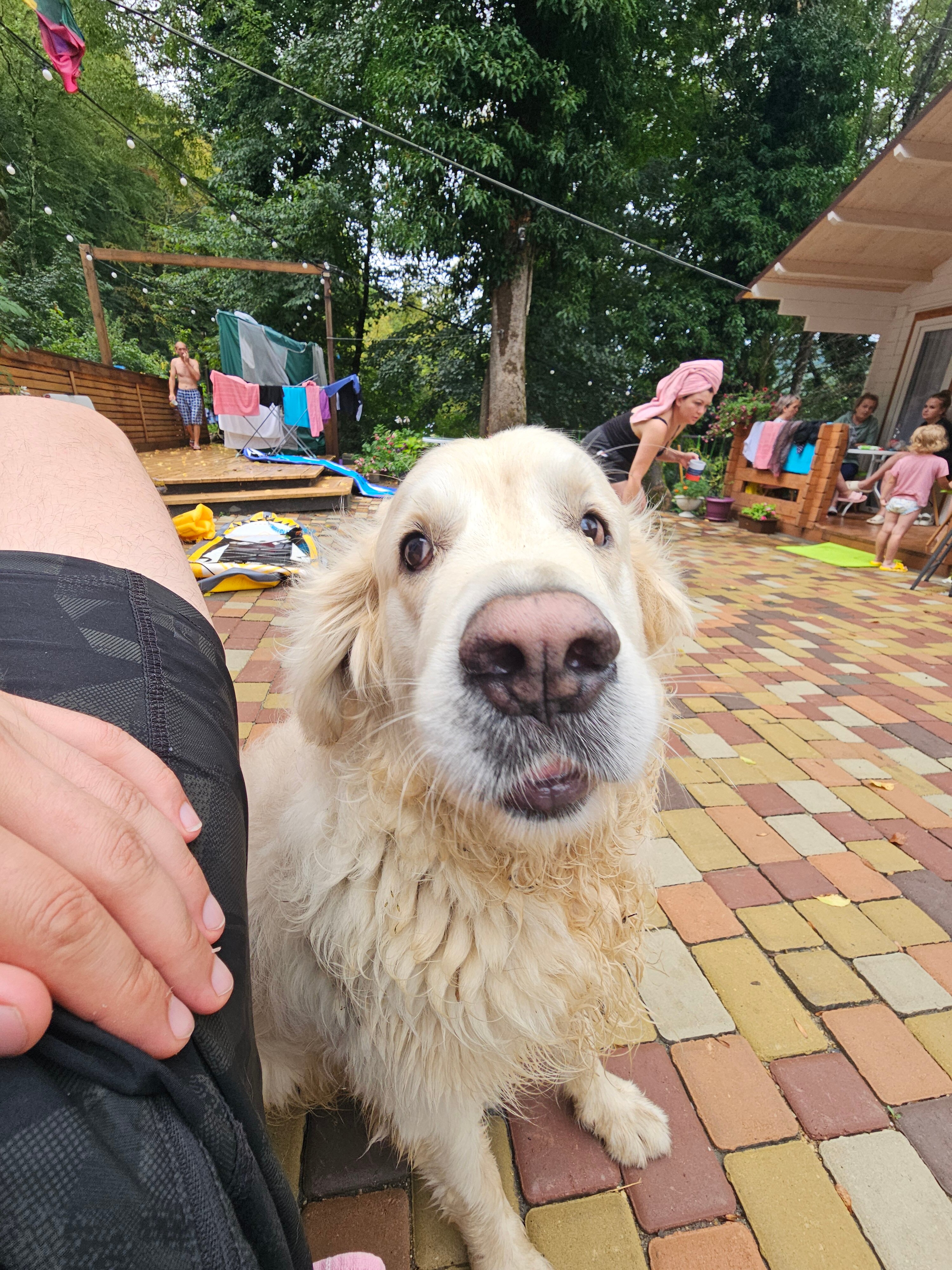 Фото Лесные домики