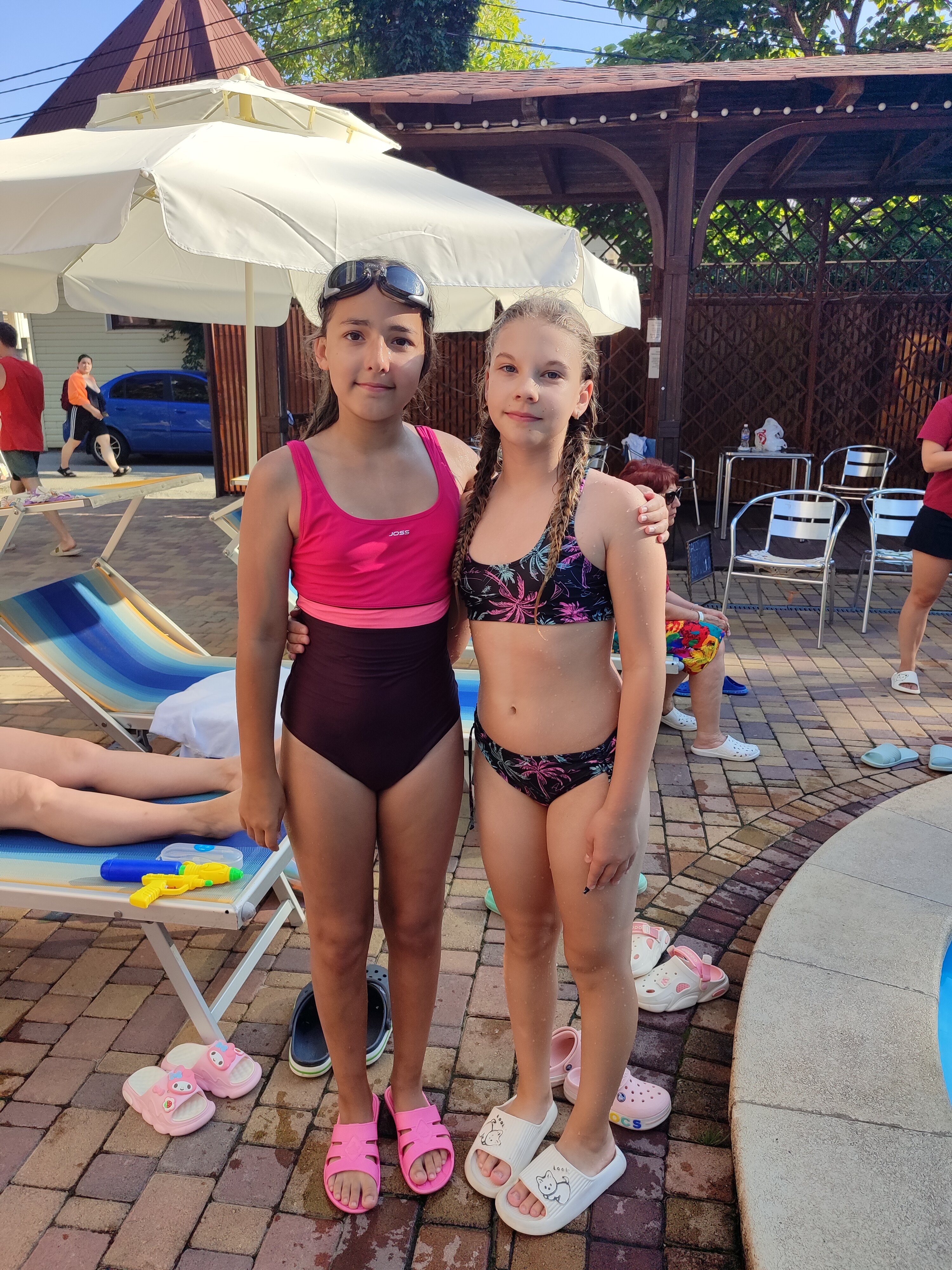 Фото Кипарис